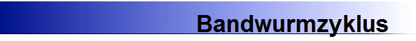 Bandwurmzyklus