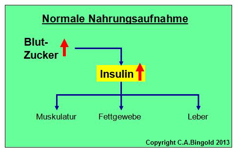 Insulinresistenz1
